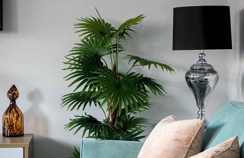 Kensington Apartment | 78 m² Apartment ∙ 2 bedrooms ∙ 5 guests