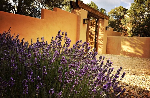 Canoncito House | 7th Nt Free Lux SantaFe AdobeMtn Theme w/casita outdoorliving10+Yrs SuperHost