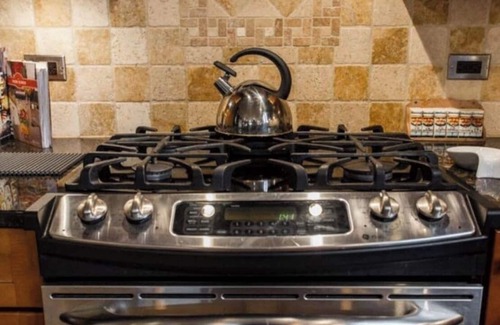 Wicker Park House | 8 beds. Wicker Park Spacious Guest House wi/Spa Bath, Fireplace, 1 Grg Spot.