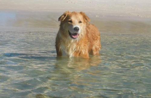 Anna Bay House | 8 Ocean Avenue - Pet Friendly, Wi-Fi, views and Aircon