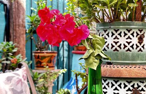 Guadalajara House | #9-Fast Wifi-Private Apto-Street Entry-Garden-CableTV