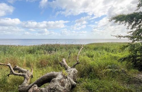 Togeholt House | 9 person holiday home in Præstø-By Traum