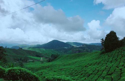 Tanah Rata House | 9Pax BintangCottage CameronHighlands *星之高原屋*