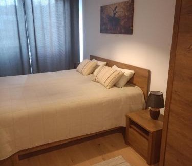 Bjelasnica Apartment | A-Apartman