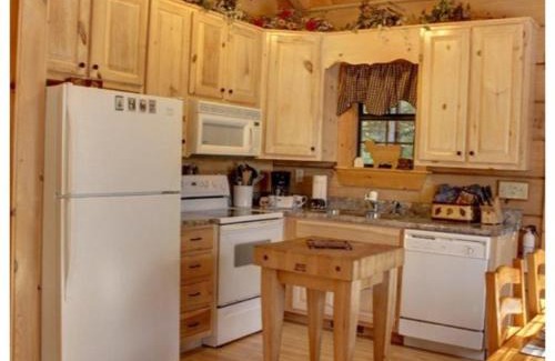 Mineral Bluff House | A Bear Pause
