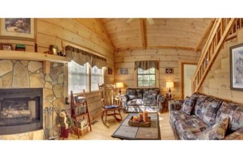 Mineral Bluff House | A Bear Pause