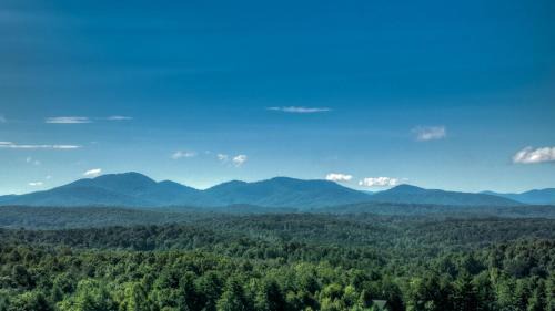 Morganton House | A Beary Nice View