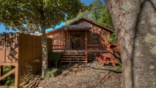 Morganton House | A Beary Nice View