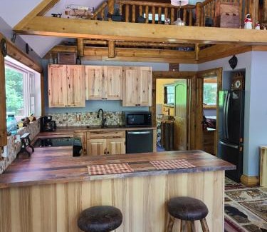 Logan House | A Birds Eye View Cabin Rentals