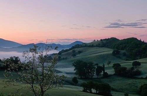 Urbino Apartment | A casa di Matisse - appartamento vacanze