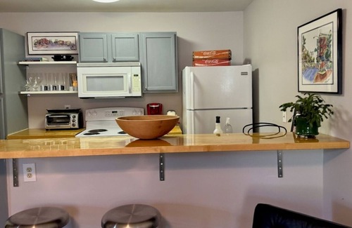 Athens House | A Charming 1-bed Loft Apt 1.8mi to UGA in delightful Athens GA Lake neighborhood