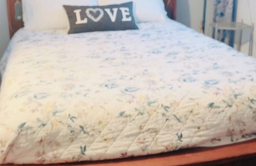 Franklin to the Fort Bed & Breakfast | A Cheerful 1 and half house located in Missoula Montana. Sleeps 3 people only.