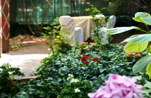 Cannaregio Apartment | A Cozy Garden Refuge In Handy, Residential Venice