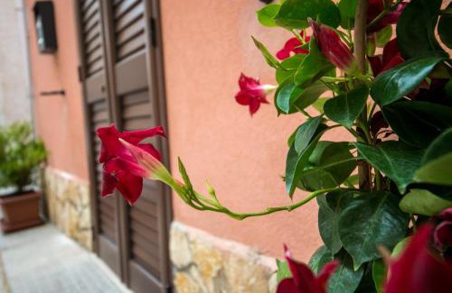 Castellammare del Golfo Apartment | 'A Cumerdia - Casa Vacanze