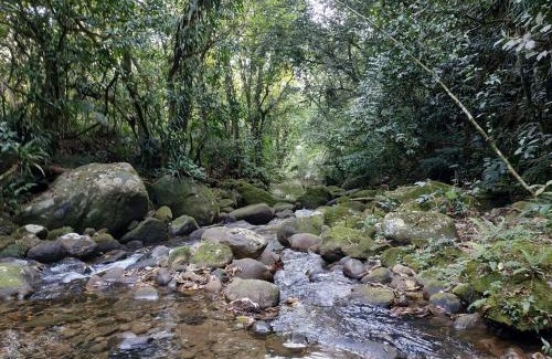 Cachoeiras de Macacu House | A family house in the woods of Atlantic forest