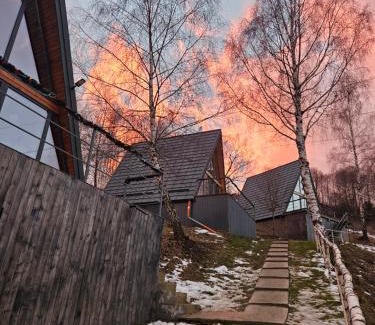 Bran Cabin | A-frame Muchia Scortii