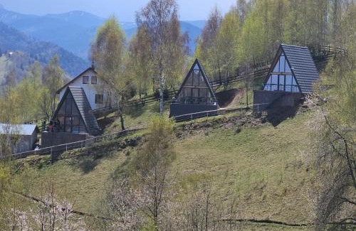 Bran Cabin | A-frame Muchia Scortii