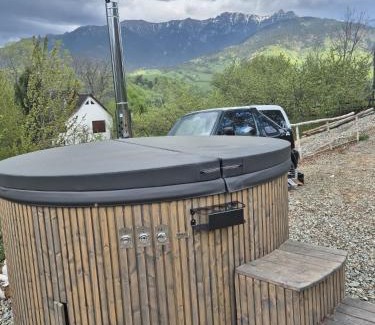 Bran Cabin | A-frame Muchia Scortii