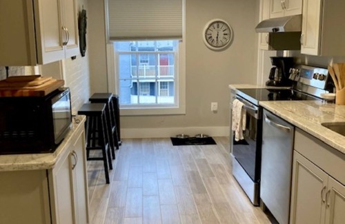 Frederick Condo | A newly renovated, pet-friendly Penthouse condo with private rooftop deck.