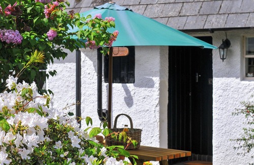 Dolgellau Cottage | A North Wales woodland retreat; a fairytale cottage for magical holidays.