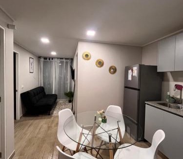 Downtown Santiago Apartment | A pasos de Movistar Arena Depto cómodo y con increíble vista