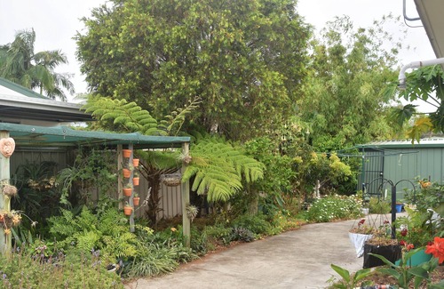 Bellara House | A peaceful Hacienda with lush gardens situated in a quiet steet - Pet Friendly