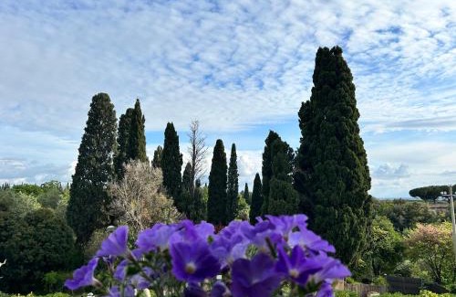Bolgheri Apartment | a pochi passi dal centro