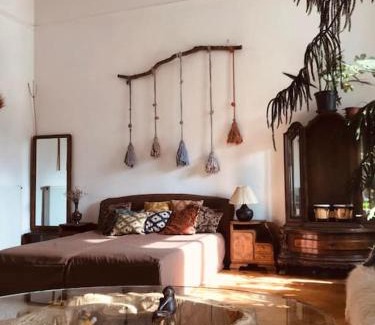 Nepszinhaz negyed Apartment | A Selva urbana