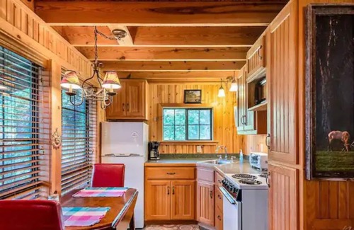 Ponca Cabin | A Still Point Cabin- Cozy and Perfect