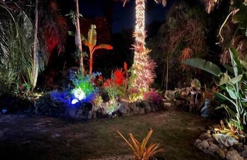 North Port House | A tropical garden in the heart of North Port