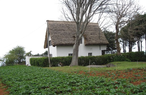 Santana House | A Typical House - Santana - Parking - Free Wifi