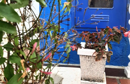 Olho Marinho House | A typical house in the center of the village which is close to beaches and towns