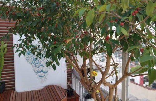 Campo Belo Apartment | A vista que vale a viagem!