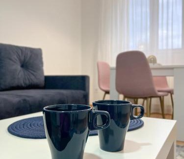 Kraljevo Apartment | A1 Miladinovic