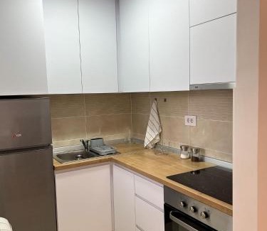 Kraljevo Apartment | A1 Miladinovic