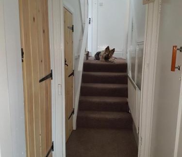 Westoe Apartment | AA Apartment Westoe Road