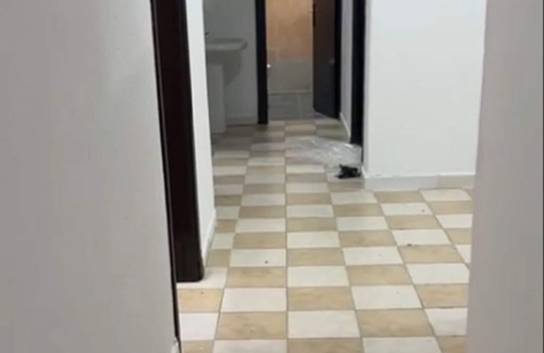 Mecca Apartment | AAA Luxuries Apartment