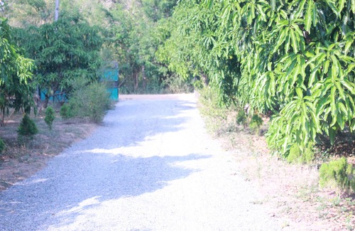Habarana House | Abawaththa Guest House