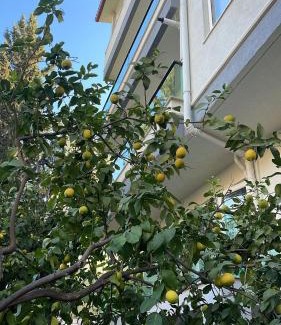 Eski Lara Apartment | ABC Apart Hotel