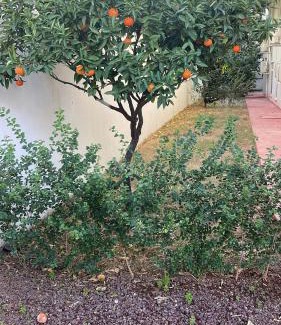 Eski Lara Apartment | ABC Apart Hotel
