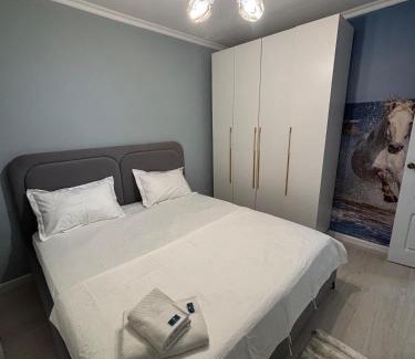 Kyzylorda Apartment | Abek Apartments