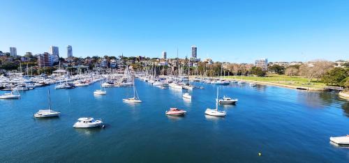 Elizabeth Bay Apartment | Absolute Waterfront with Oversized Private Terrace