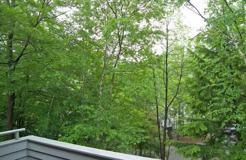 Lincoln House | AC/FP, deck, woods view, swim club, near Loon, ski shuttle. V12ME by LRS