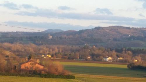 San Lazzaro di Savena Apartment | Acero Rosso B&B apartment