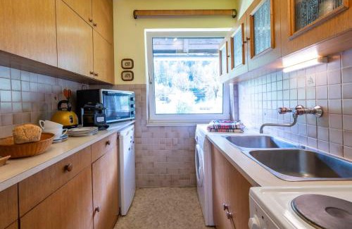 Dorfgastein Apartment | Achenhaus