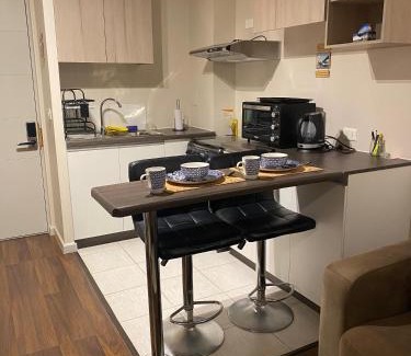 Valdivia Apartment | Acogedor Apartamento Valdiviano