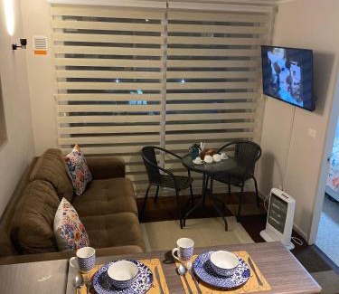 Valdivia Apartment | Acogedor Apartamento Valdiviano