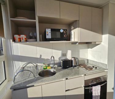 Concepcion Apartment | Acogedor Departamento Estudio