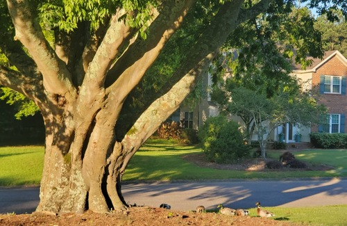 Aiken House | Acreage with pool in town