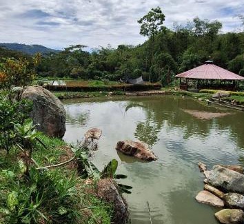La Vega Hotel | Acualandia Fish